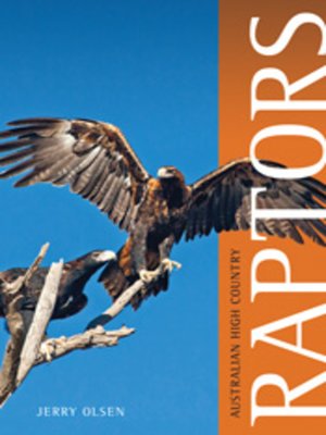 cover image of Australian High Country Raptors